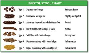 File Bristol Stool Chart Svg Wikimedia Commons