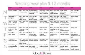 Baby Food Meal Planner 9 12 Months Baby Food Recipes 9