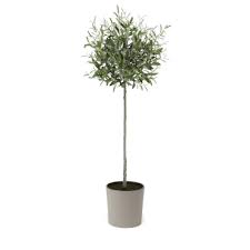 Artificial Tuscan Olive Tree