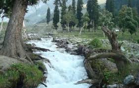 Image result for kashmir nature beauty