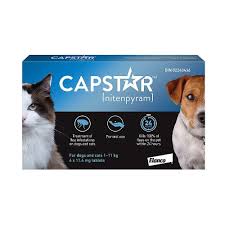 capstar tablets for cats dogs