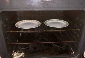 Can You Put A Plate In The Oven 4