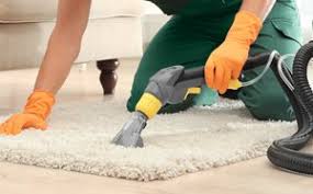 carpet cleaning virginia beach va rez