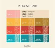 what-are-the-4-types-of-hair