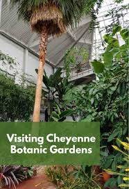 cheyenne botanic gardens conservatory