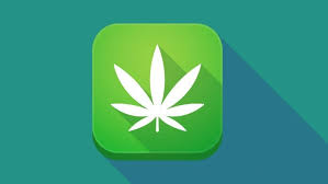 We did not find results for: Mobile Application Launched To Augment Cannabis Education