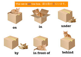 prepositions of place poster a fox