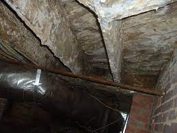 removing mold from floor joists