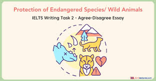 wild s ielts writing task 2