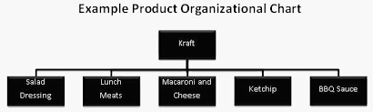 Product Org Chart Business Organizational Structure