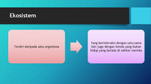 Please fill this form, we will try to respond as soon as possible. Nota Ringkas Sains Tingkatan 4 Multifilesstorage