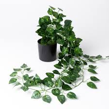 philodendron scandens artificial plant
