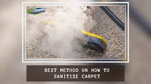 best method on how to sanitize carpet