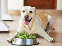 Why do green beans help dogs lose weight?