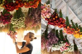 Here's how to do it: Discovering Dried Flowers Floret Flowers