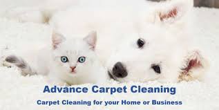 carpet cleaning advance