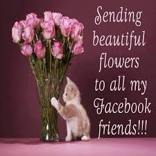 sending beautiful flowers to all my