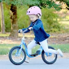The Best Baby Bike Seats And Tag Alongs