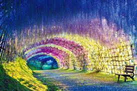 wisteria tunnel at kawachi fuji gardens