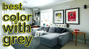 best color with grey home decor ideas