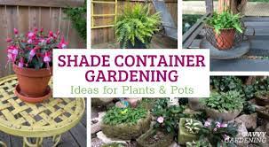 Shade Container Gardening Ideas For