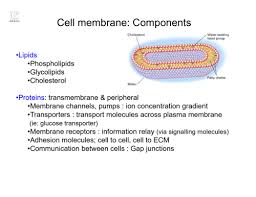 cell membrane flashcards quizlet