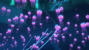 jellyfish hd wallpaper pxfuel
