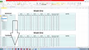 Training Tracker Template Excel Workout Log Job Sarahamycarson