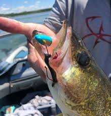 Targeting Walleye Throughout The Open