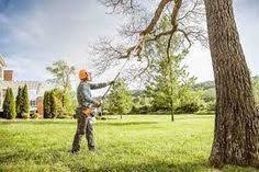 After all, we are a gwinnett tree removal, atlanta tree pruning, and storm cleanup solutions company first and all else second. Pin On Down To Earth Tree Service