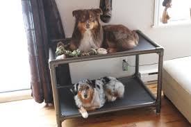 Dog Bunk Bed Walnut For Our Babies Dog Bunk Beds Bunk