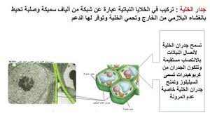 الخلوية الطاقة بحث عن بحث عن