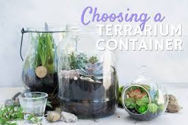 diy terrarium containers