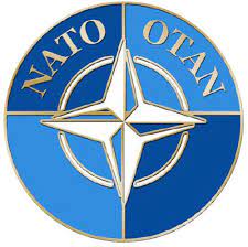 NATO OTAN NORTH ATLANTIC TREATY ORGANIZATION LAPEL HAT PIN | eBay
