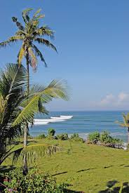 Balian Indo Surf And Lingo