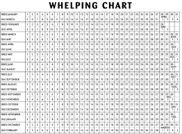 Online Pedigrees 8978 Whelping Chart