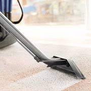 xiao carpet cleaning upholstery 674