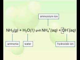 Ammonia Is A Weak Base That Reacts With