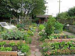 Sustainable Vegetable Garden