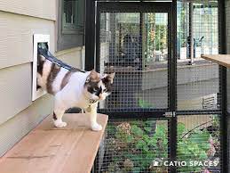 Cat Door For Your Catio By Catio Spaces
