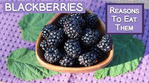 blackberries and their beneficial