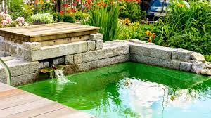 basics of caring for your water features