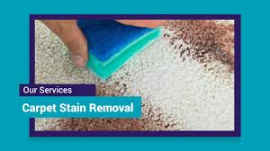 carpet cleaning melbourne eastern suburbs