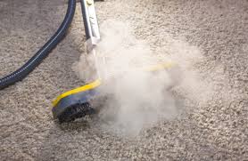 carpet steam cleaning vs hot water