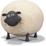 is-shirley-the-sheep-a-girl