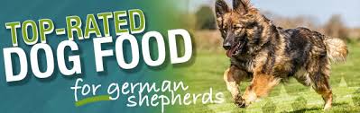 Best Dog Food For A German Shepherd Puppies Adults
