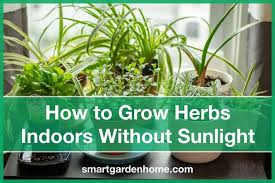 Grow Herbs Indoors Without Sunlight