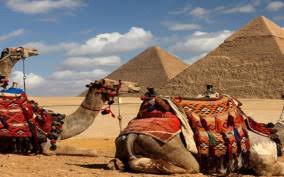 el kahhal carpets review cairo egypt