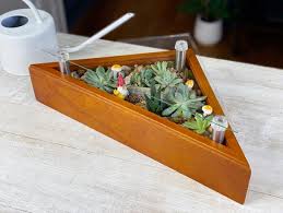 Miniature Tabletop Succulent Garden