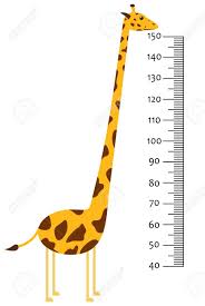 Meter Wall Or Baby Scale Of Growth With Giraffe Kids Height